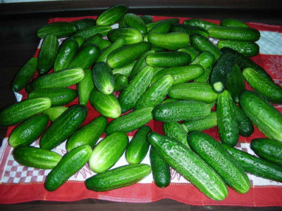 DSCN1767.JPG