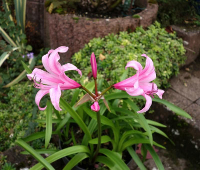 DSC02393.JPG