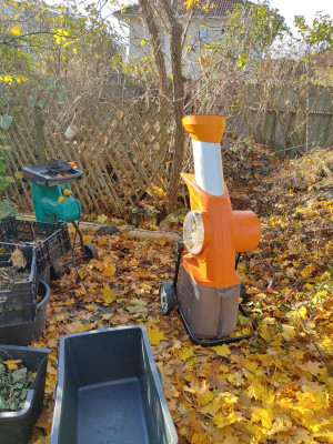 20231110_110439_HDR.jpg