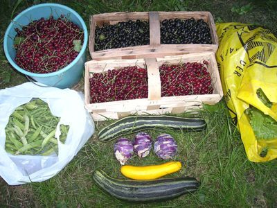 Johannisbeeren_und_Anderes.jpg