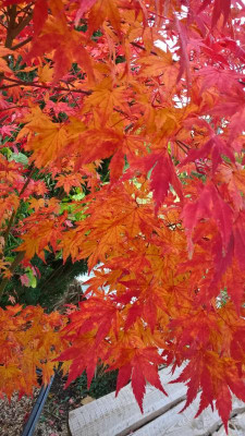 WP_20231111_09_24_33_Pro.jpg