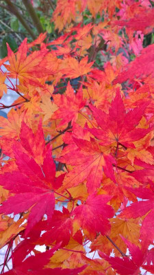 WP_20231111_09_52_31_Pro.jpg