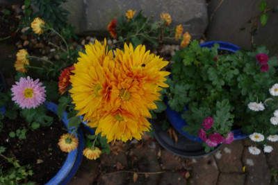 DSC02410.JPG