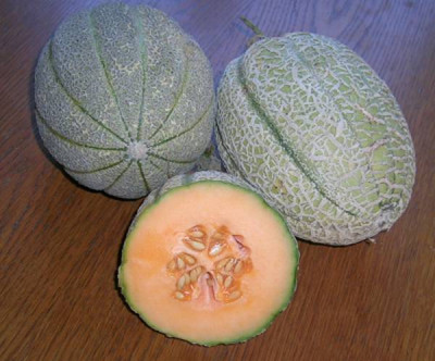 melonen_nr.3bis5_v._dino.jpg