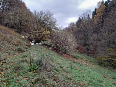 20231114_110806.jpg