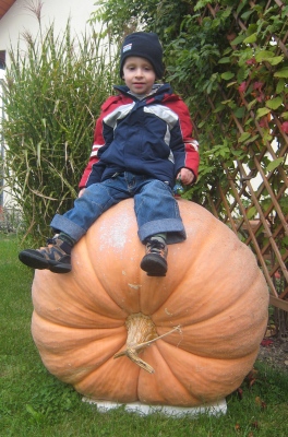 pumpkinalfi.jpg