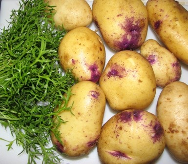 maca_kartoffeln.JPG