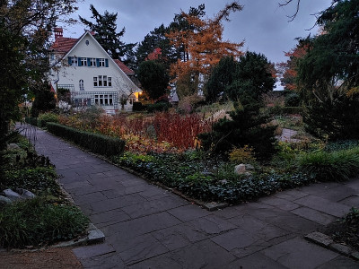 Foerstergarten20231117_162438_HDR.jpg
