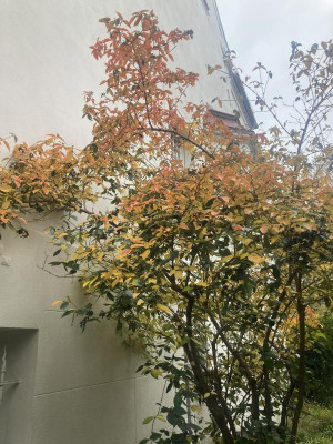 IMG_1591.jpeg