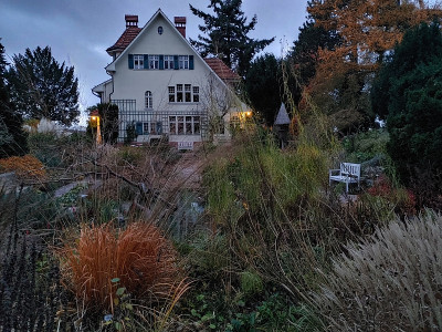 Foerstergarten20231117_162653_HDR.jpg
