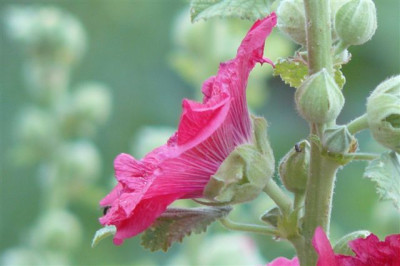 05.07.2008.40.JPG
