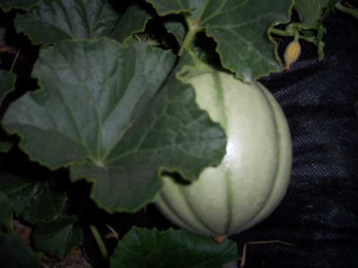K640_100_5407.JPG