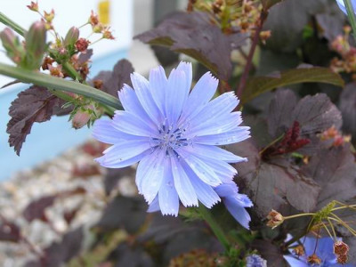 P1010376a.jpg