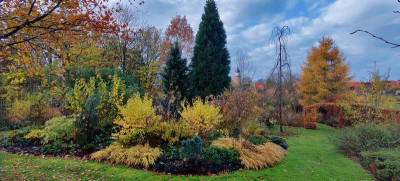 2023-11-19 Gartenimpressionen 1.jpg
