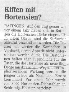 Rheinische_Post_3._Februar_2004.jpg