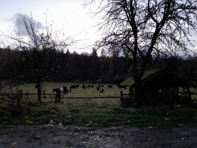 20231119_074034.jpg