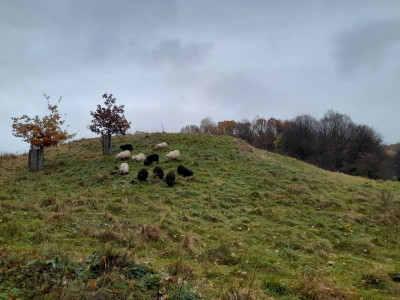 20231121_120407.jpg