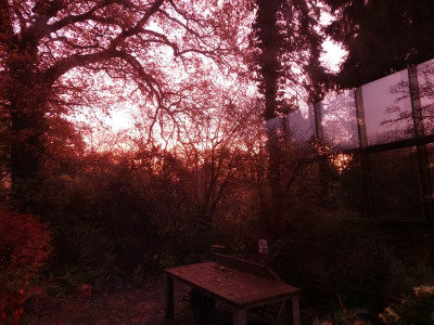 20231122_074446.jpg