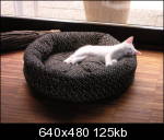 dscn3005we3_th.jpg