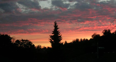 DSCN0101.jpg