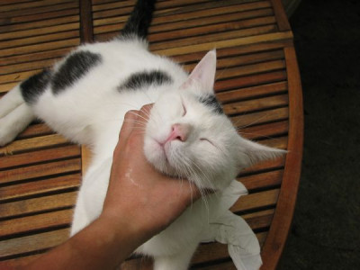 fraulihand_mit_sabber_drauf.jpg