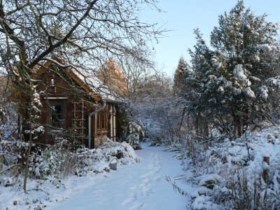 2023-11-28 Garteneinblick 1.jpg