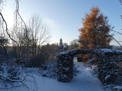 2023-11-28 Garteneinblick 6.jpg
