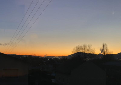 IMG_4419.jpeg