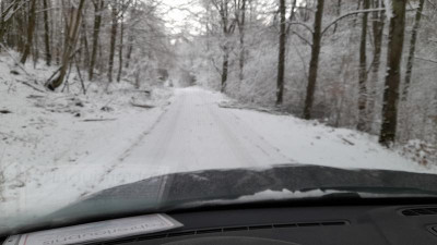 IMG-20231129-WA0019.jpeg