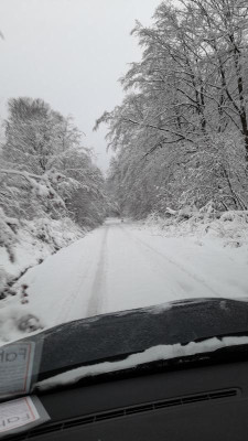 IMG-20231129-WA0005.jpeg