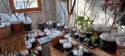 20231130_104152.jpg