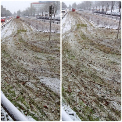 Ubahnwiese.jpg