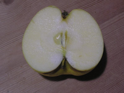 P1010075.JPG