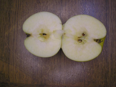 P1010074.JPG