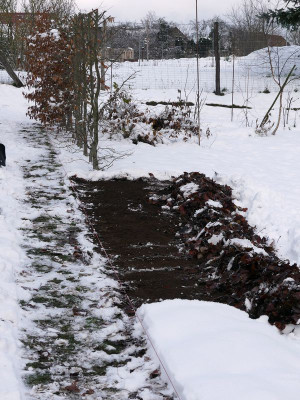 2023-12-01 Garteneinblick 2.jpg