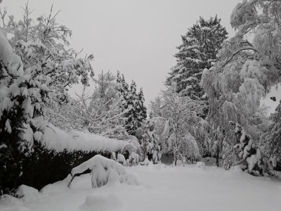 VielSchnee.jpg