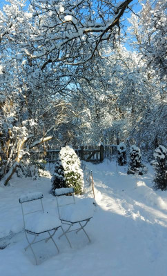 20231203_165810 Dezember.jpg