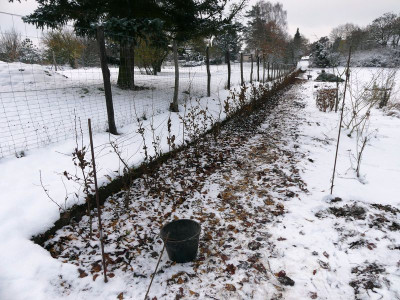 2023-12-03 Garteneinblick 3.jpg