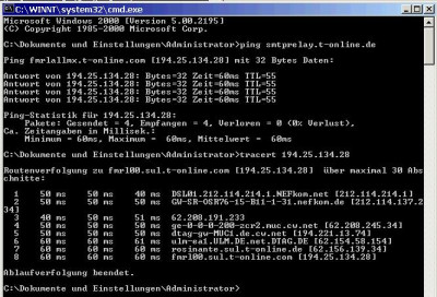 ping-t-online2.jpg