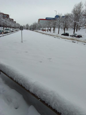 Wiese im Dez.jpg