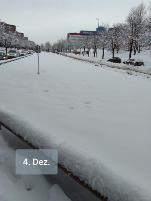 Wiese.jpg