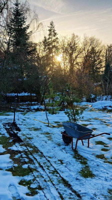 2023-12-09 Hecke 1.jpg