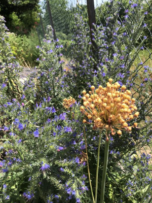 IMG_8806.jpeg