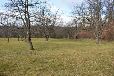 Kirschwiese Eßlingen 019.JPG