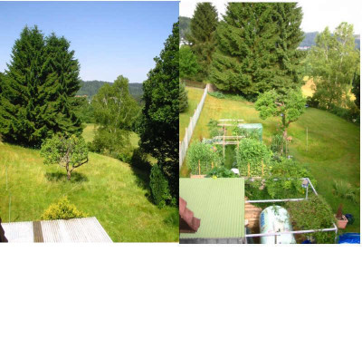 Gemusegarten_vorher-nachher.jpg