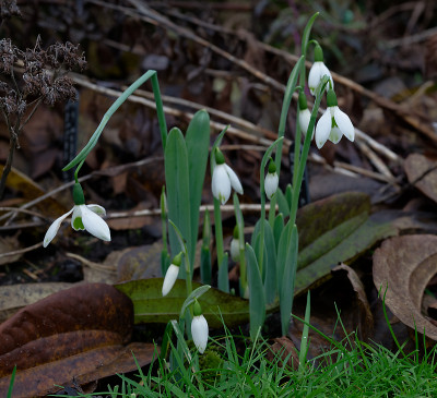 DSC_8135_DxO.jpg