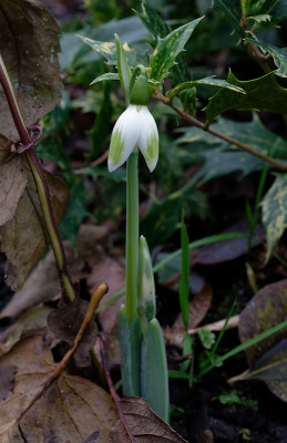 DSC_8132_DxO.jpg