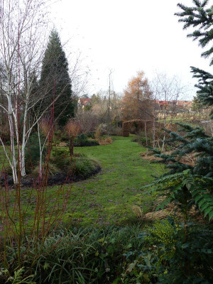 2023-12-16 Garteneinblick 6.jpg