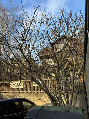 IMG_0374.jpeg
