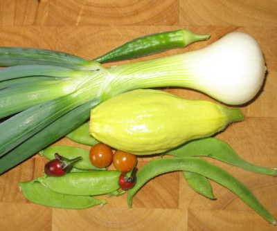 Ernte_1_3_1.jpg